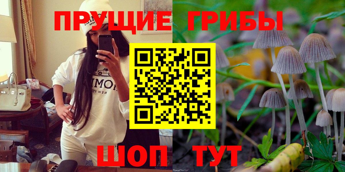 Галлюциногенные грибы Psilocybe  Вход с VPN  Зерноград  Галлюциногенные грибы Psilocybine cubensis 