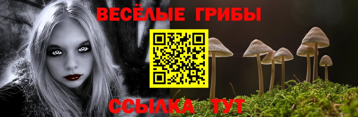 Псилоцибиновые грибы MAGIC MUSHROOMS Зерноград